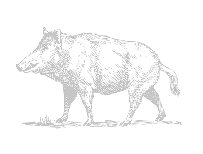 Tracing example 2